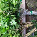 병건농장 이미지