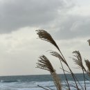 함덕 친척집 | 제주도 애월, 협재 게하 추천