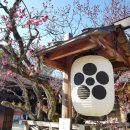 대전한국병원 이미지