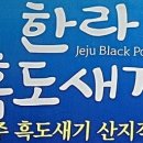 돈사돈가음정점 네이버블로그