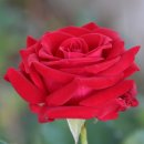 한양대학교 경영대학원 이미지