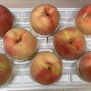 광인농장 이미지