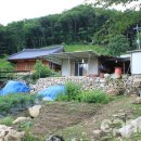 백룡농장 이미지