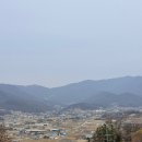 판다바베큐 | [양평 용문 맛집] 가성비 대박 대디스바베큐 점심 방문 후기