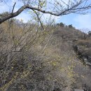 뚝도시장 이미지