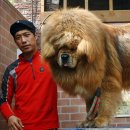 짱오농장 이미지