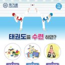 용인대 탑 태권도 이미지