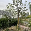 통큰메기생선국수 | 청주 오송 히든 야장 맛집 "돌다리방죽식당" 내돈내산 솔직 후기 (feat. 민메기매운탕, 닭도리탕, 닭백숙)