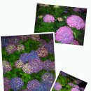 동홍생활체육관 이미지