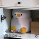 김치스쿨 | 에이블 스쿨 7기 AI트랙 4주차 후기