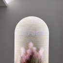 레푸스쌍문 이미지