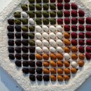 하늘누에 이미지