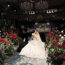 수연축사 | w. 류부초밥 되다, 소피텔 앰배서더 본식 후기