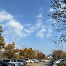 하단동1249 | [부산 가볼만한곳] 을숙도 철새공원