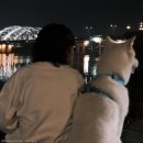 줄리스토리