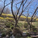 생금우물 이미지