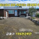 문란영공인중개사사무소 이미지