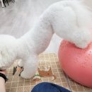 해운대유치원 이미지