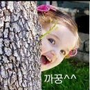 원기(元氣)