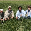 김선호농장 이미지