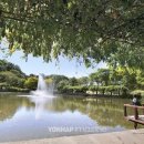 (구)안성터미널 이미지