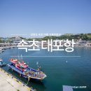 강원도 여행지 추천 속초 대포항 새우 튀김골목 맛집 다리 전망대