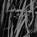 고려동유적지 이미지