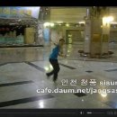 인천 청풍 sisun 한손 연무 영상 이미지