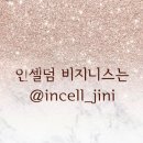 인셀덤 사업,비지니스/명절 포장 서비스/함께하니까 더 가치있는 인셀덤사업/