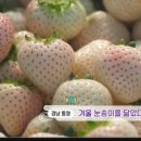 이연주농장 이미지