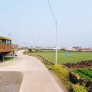 제주사랑공인중개사사무소 이미지