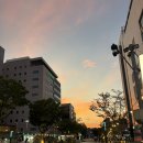 노랑강정 양산통도사점 | 강릉 중앙시장먹거리 길감자,수제어묵고로케,배니닭강정,감자아이스크림 주관적인 후기와 주차정보