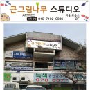 그림나무스튜디오학원