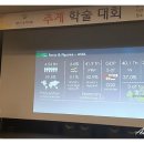 엔젤라아로마솝