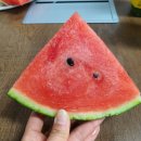 국수타임 네이버블로그