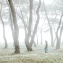 솔밭공원 이미지