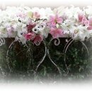 양재시민의 숲 5번 출구 앞 이미지