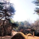 창원 최윤덕 묘역 이미지