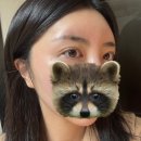 네일스튜디오 | 명지 속눈썹펌 맛집[휘게네일스튜디오] 방문후기