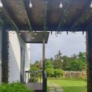 제주542펜션 이미지