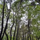 불은면-2 | 강화광성보 산책과 함허동천 우중 캠핑 후기