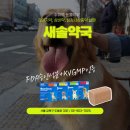 새솔동물약국 이미지