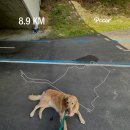 준독라운지 이미지