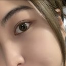 보고팜 | 입생로랑 신제품 쿠션 25호 내돈내산 후기 ( 에스티로더 쿠션 , 맥 파운데이션까지 비교 )