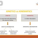 kinesthetic empathies 이미지