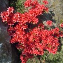 승마펜션 이미지