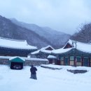 2022-11-02(수)전북정읍 단풍의1번지 내장산 단풍여행 이미지