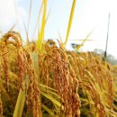 은심에서한잔 이미지