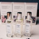 겐조 | 은은한 향수 추천 겐조 플라워 후기