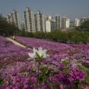 수리산역 이미지